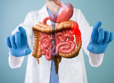 A importância do intestino saudável