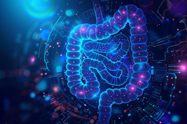 Alimentos aliados da sua saúde intestinal!